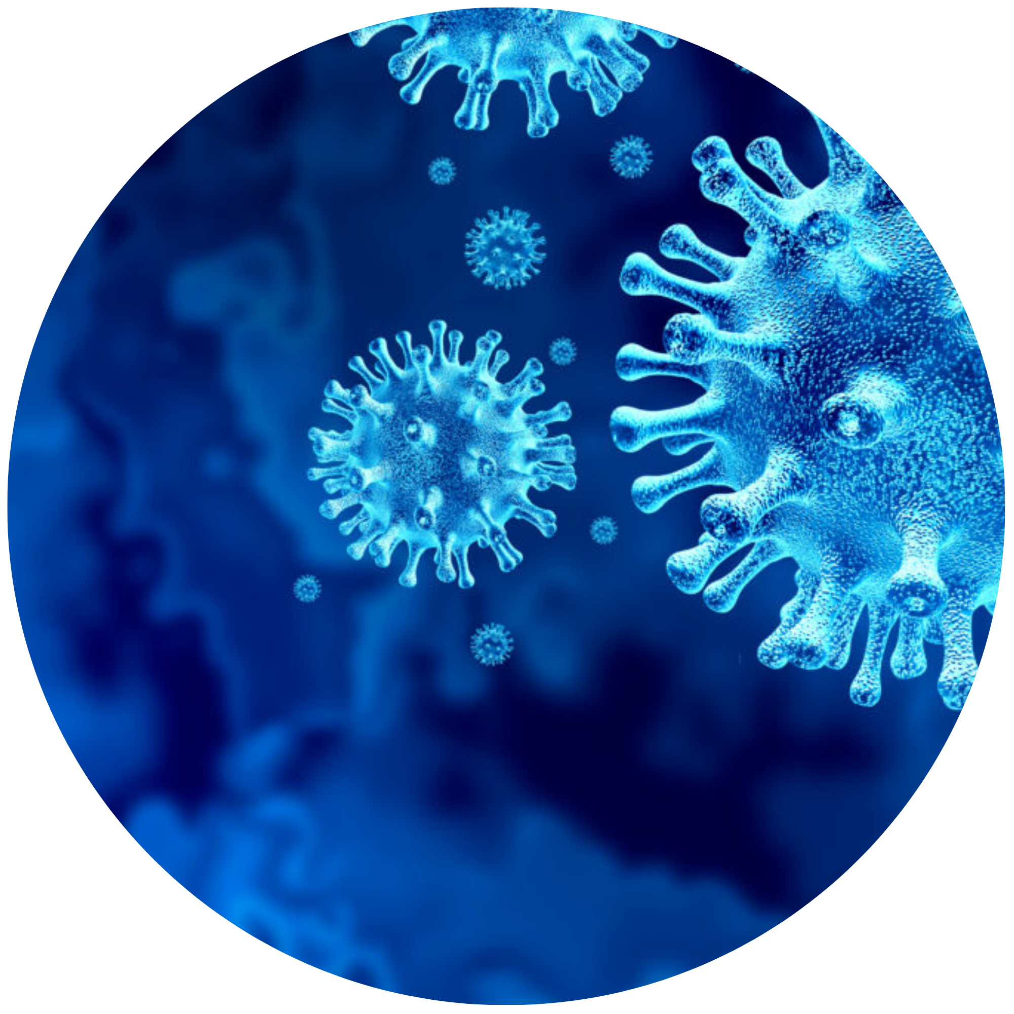 RESEARCH & DEVELOPMENT